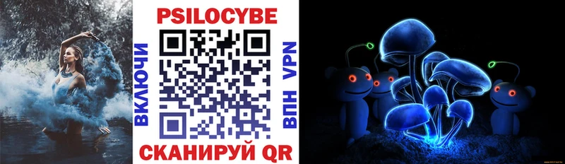 Псилоцибиновые грибы прущие грибы  Дудинка 